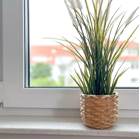 Baltischer Hof 45 Boltenhagen (Ostseebad)