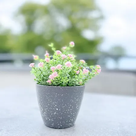 Apartmán Baltischer Hof 45 Boltenhagen (Ostseebad)