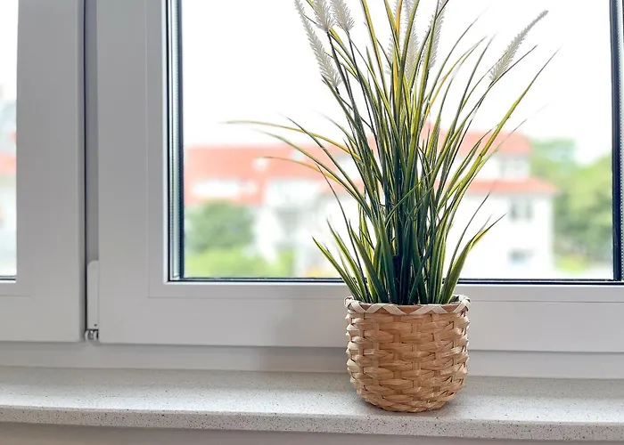 Baltischer Hof 45 Boltenhagen