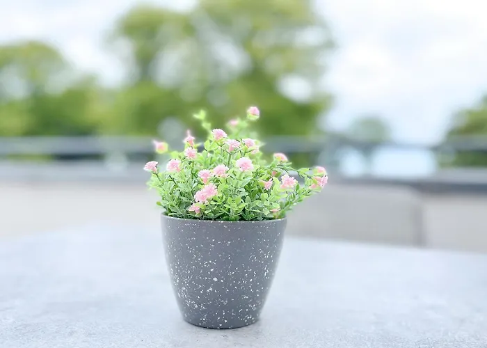 Apartman Baltischer Hof 45 Boltenhagen